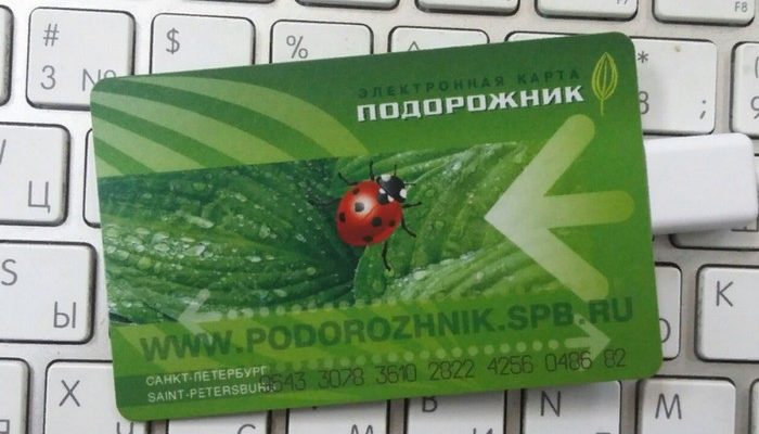 Где продают подорожник в спб