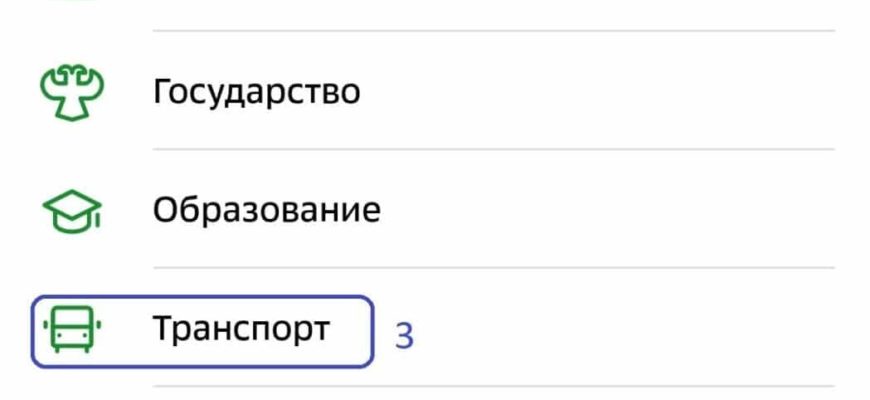 Можно ли на подорожник положить денег онлайн · сведения за 2023 год